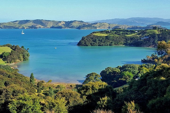 Private Guided Best of Waiheke Island - Photo 1 of 6